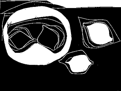 ls420.png